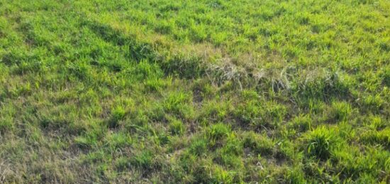 Terrain à bâtir à Verneuil-sur-Vienne, Nouvelle-Aquitaine