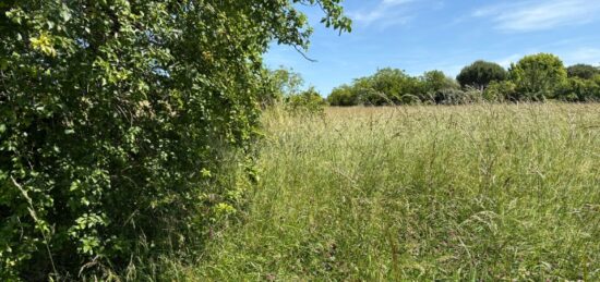 Terrain à bâtir à Gémil, Occitanie