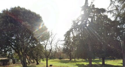 Longages Maison neuve - 2367101-10326annonce120251212iucMf.jpeg Maisons France Confort