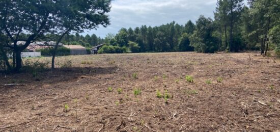 Terrain à bâtir à Mimizan, Nouvelle-Aquitaine