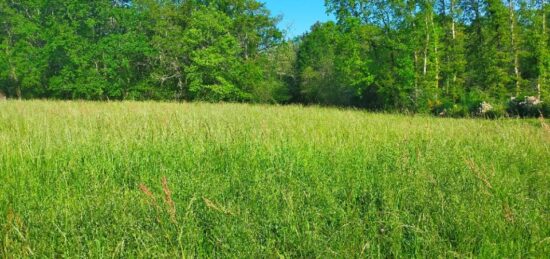 Maison neuve à Cognac, Nouvelle-Aquitaine