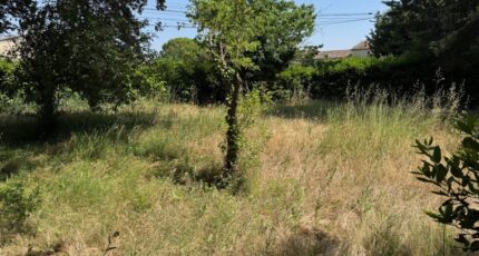 Sarrians Terrain à bâtir - 2291813-3418annonce320250612JkcsG.jpeg Maisons France Confort