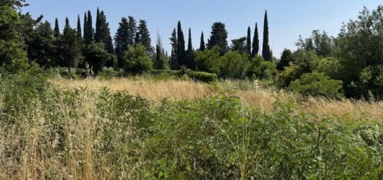 Terrain à bâtir à , Vaucluse