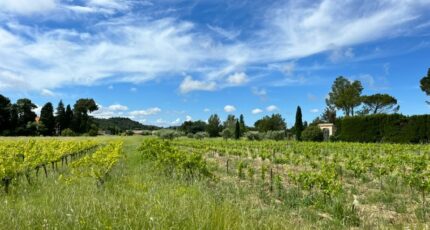 Domazan Terrain à bâtir - 2291895-3418annonce1202410079M1JB.jpeg Maisons France Confort