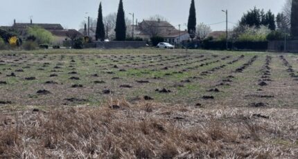 Camaret-sur-Aigues Maison neuve - 2291847-3418annonce320230907gpRS3.jpeg Maisons France Confort