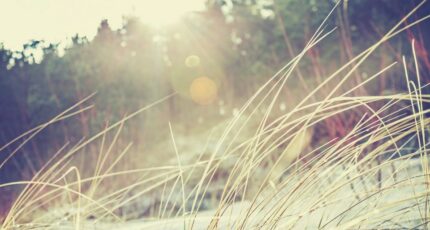 Salles Terrain à bâtir - 2368663-11258annonce120251215Iqnsn.jpeg Maisons France Confort