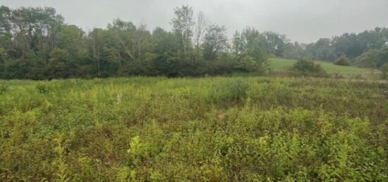 Terrain à bâtir à Saint-Ondras, Auvergne-Rhône-Alpes