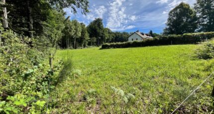 Roannes-Saint-Mary Terrain à bâtir - 2272165-3828annonce120250916wI68B.jpeg Maisons France Confort