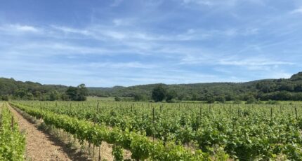 Lézignan-Corbières Terrain à bâtir - 2368704-11456annonce120250624y9ids.jpeg Maisons France Confort