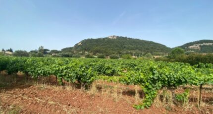 Gonfaron Maison neuve - 2368806-5922annonce220251215WB44e.jpeg Maisons France Confort