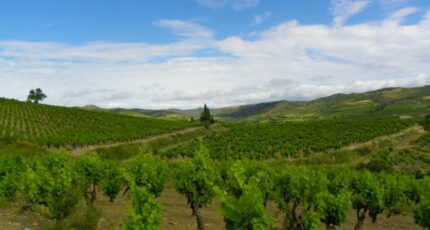 Conilhac-Corbières Maison neuve - 2368804-11456annonce220250807o2PeR.jpeg Maisons France Confort