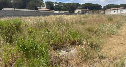 Villedubert Maison neuve - 2368895-11456annonce320250807MIJ8G.jpeg Maisons France Confort