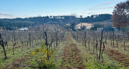 Lorgues Terrain à bâtir - 2368924-4529annonce220251215PBZUb.jpeg Maisons France Confort