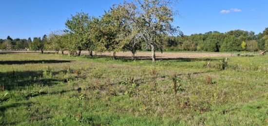 Terrain à bâtir à Saint-Philippe-du-Seignal, Nouvelle-Aquitaine