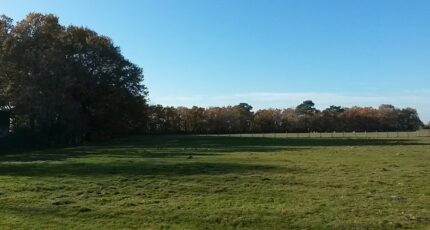 Marmande Terrain à bâtir - 2369153-3957annonce120251215U3oCx.jpeg Maisons France Confort