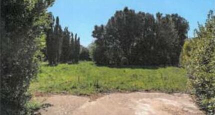 Vaux-sur-Mer Maison neuve - 2365240-11291annonce220251211IL7L9.jpeg Maisons France Confort