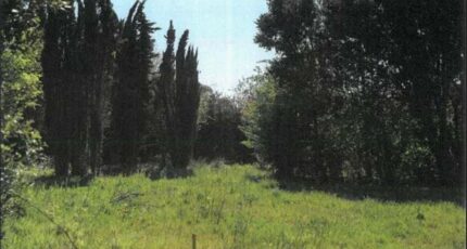 Vaux-sur-Mer Terrain à bâtir - 2365193-11291annonce120251211RCZWL.jpeg Maisons France Confort