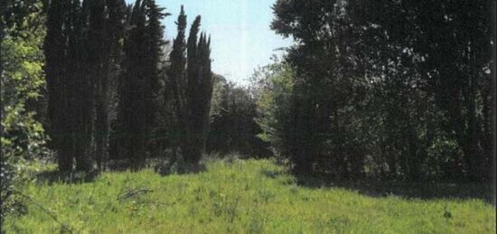 Terrain à bâtir à Vaux-sur-Mer, Nouvelle-Aquitaine