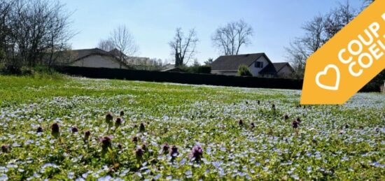 Terrain à bâtir à Hauteville-sur-Fier, Auvergne-Rhône-Alpes