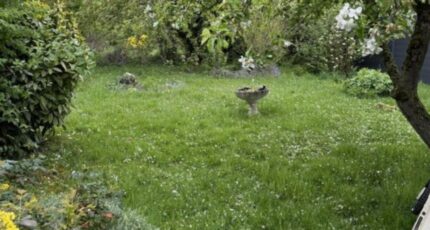 Solesmes Maison neuve - 2368757-7246annonce1202512150g6yn.jpeg Maisons France Confort