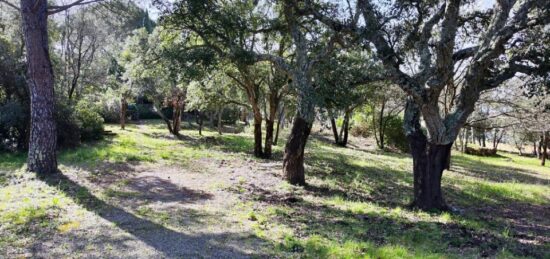 Terrain à bâtir à , Var