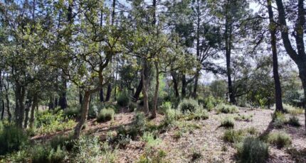 Vidauban Maison neuve - 2369869-11039annonce320251216XHXVa.jpeg Maisons France Confort