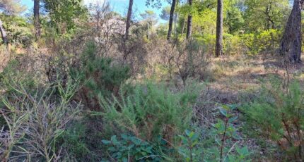 Gréasque Terrain à bâtir - 2370187-11041annonce320251216ydUHX.jpeg Maisons France Confort