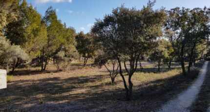 Saint-Restitut Terrain à bâtir - 2370282-6150annonce120251216IS8xd.jpeg Maisons France Confort