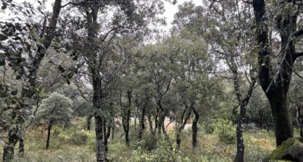 Saint-Restitut Terrain à bâtir - 2370282-6150annonce120251216uoHw0.jpeg Maisons France Confort