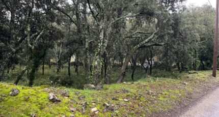 Saint-Restitut Terrain à bâtir - 2370282-6150annonce420251216s5RKJ.jpeg Maisons France Confort