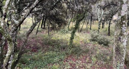 Saint-Restitut Terrain à bâtir - 2370282-6150annonce5202512169qwiw.jpeg Maisons France Confort