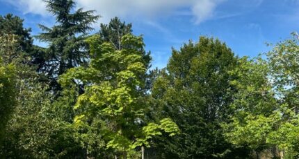 Amboise Maison neuve - 2364457-10804annonce1202512101FDpx.jpeg Maisons France Confort