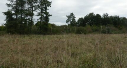 Castres-Gironde Maison neuve - 2370517-1686annonce120251217TZTOJ.jpeg Maisons France Confort