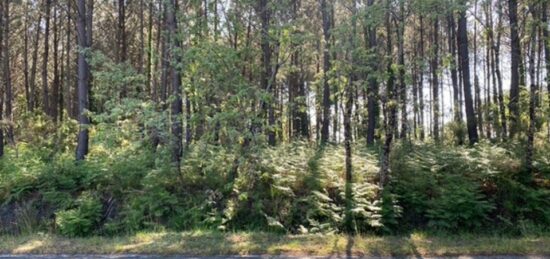 Terrain à bâtir à Sanguinet, Nouvelle-Aquitaine