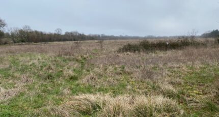 Pont-l'Abbé-d'Arnoult Terrain à bâtir - 2370789-11194annonce320251217280zg.jpeg Maisons France Confort