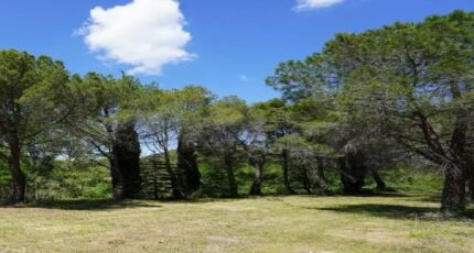 Villeneuve-les-Corbières Maison neuve - 2371217-10986annonce120250827wdO77.jpeg Maisons France Confort