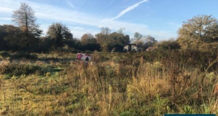 Labrit Terrain à bâtir - 2371318-5828annonce120250314Z2Xla.jpeg Maisons France Confort