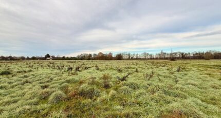 La Force Maison neuve - 2371537-11709annonce2202512081Ub6V.jpeg Maisons France Confort