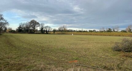 Saint-Martin-de-Crau Terrain à bâtir - 2371855-3969annonce320251218eE8eU.jpeg Maisons France Confort