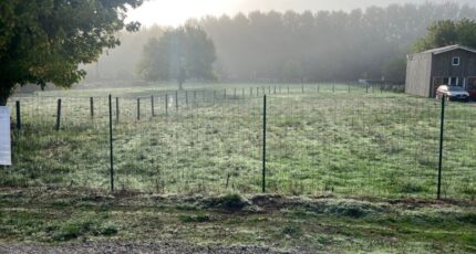 Casteljaloux Terrain à bâtir - 2275315-9795annonce1202509185Rknm.jpeg Maisons France Confort