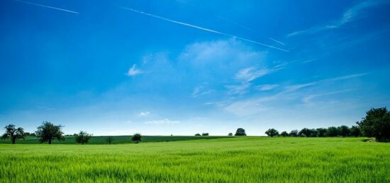 Terrain à bâtir à Bornel, Hauts-de-France