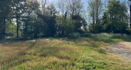 Lesparre-Médoc Maison neuve - 2337466-10624annonce120251105XWQrD.jpeg Maisons France Confort