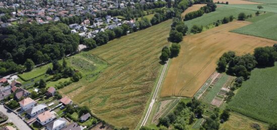 Terrain à bâtir à Morschwiller-le-Bas, Grand Est