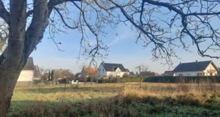 Obersaasheim Maison neuve - 2372410-5767annonce620251218QN80K.jpeg Maisons France Confort