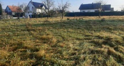 Obersaasheim Maison neuve - 2372414-5767annonce220251218w4Va8.jpeg Maisons France Confort