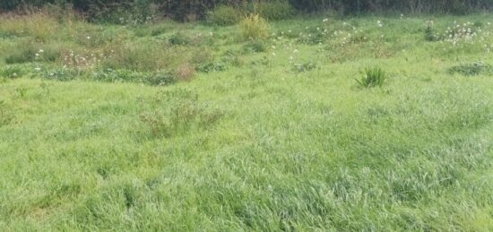Terrain à bâtir à Pertuis, Provence-Alpes-Côte d'Azur