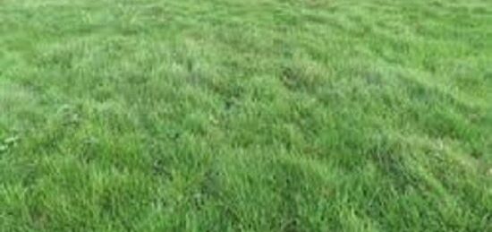 Terrain à bâtir à Dannemois, Île-de-France