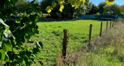 Saint-Jean-d'Angély Maison neuve - 2372969-10974annonce120251219Z3NGR.jpeg Maisons France Confort