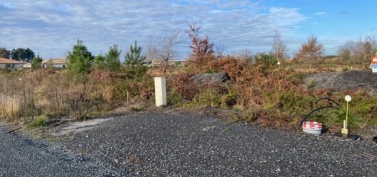 Terrain à bâtir à Margaux, Nouvelle-Aquitaine