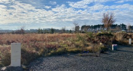 Le Taillan-Médoc Terrain à bâtir - 2372990-11689annonce120251219r6PSZ.jpeg Maisons France Confort